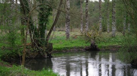 Exploitation et restauration de zones humides à Vouneuil-sous-Biard